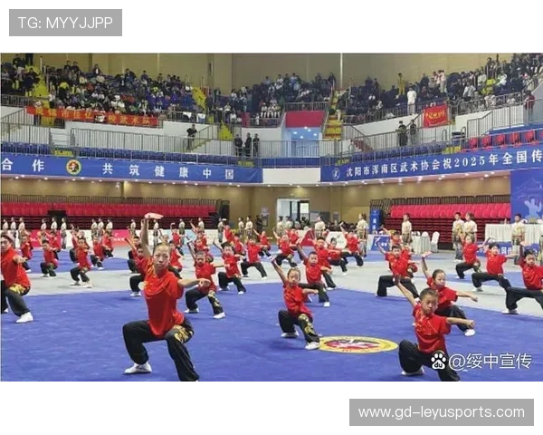 _传统武术表演结合现代比赛，展现文化魅力_，传统武术比武