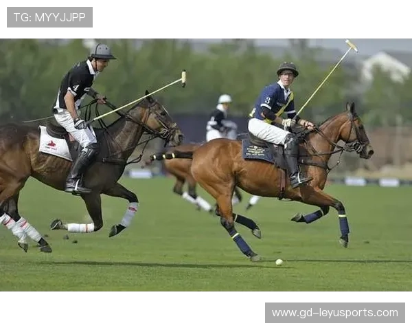 伊朗队前锋马丁内斯在巴黎奥运会上表现出色，伊朗马球