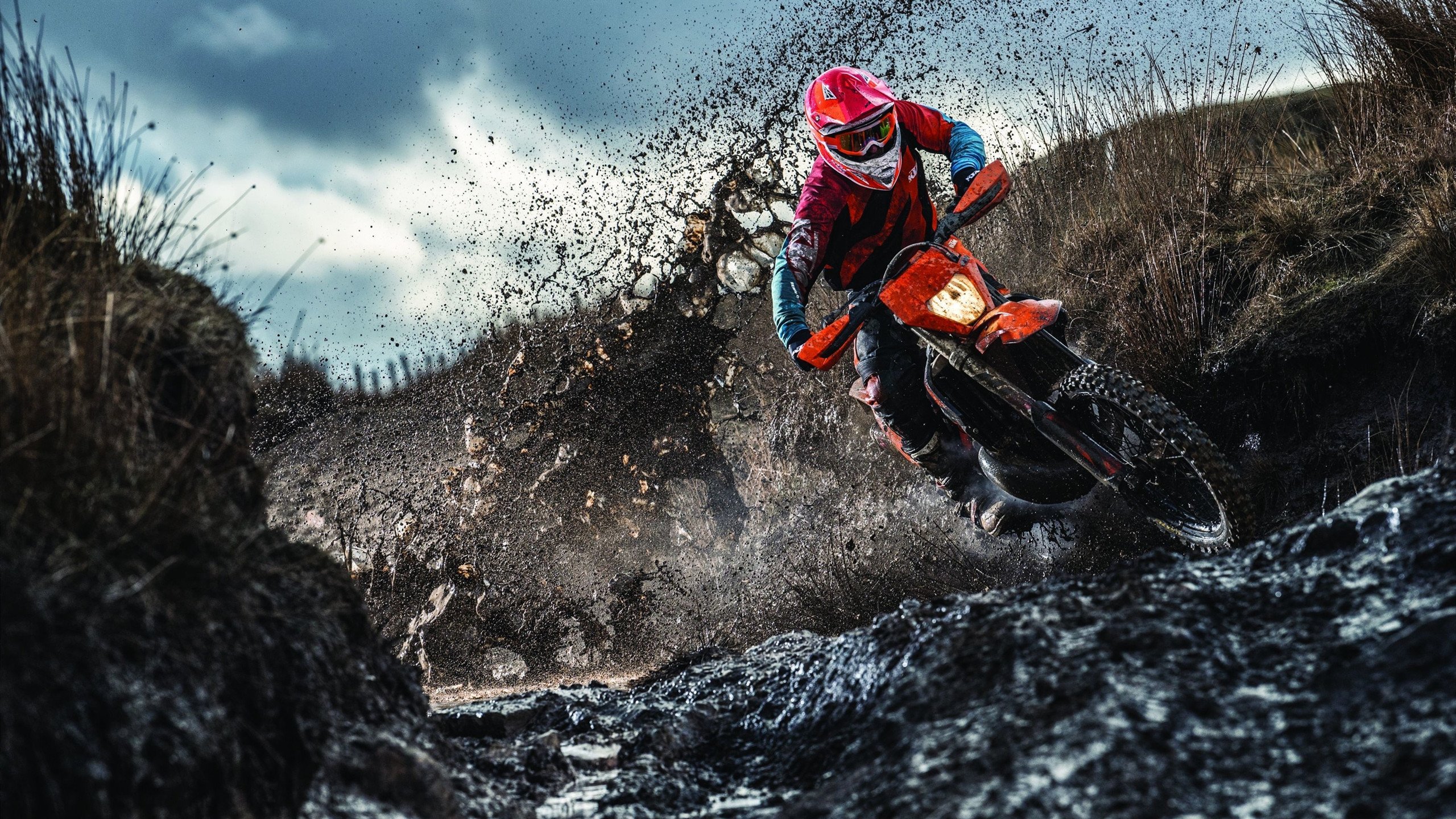 联赛引领青少年“运动+科学+文化”多元创新生态圈